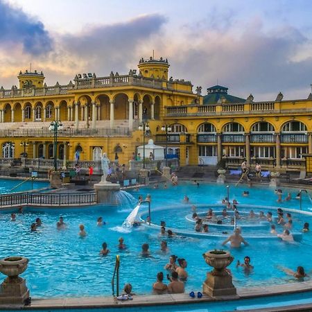 Appartamento Városliget Apartman Budapest Esterno foto